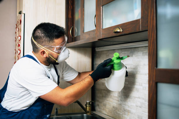 Best Best Pest Control Companies  in Farrell, PA