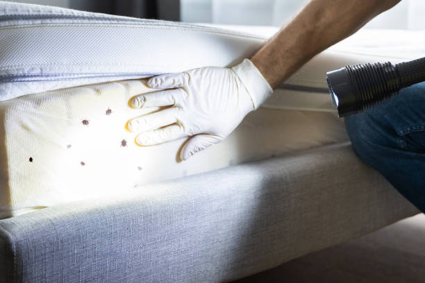 Best Pest Control Near Me  in Farrell, PA