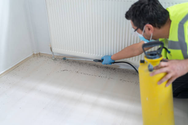 Best Local Pest Control Services  in Farrell, PA