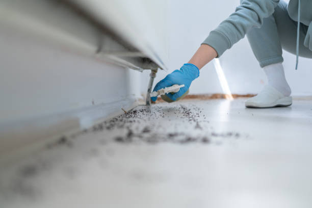 Best Cockroach Control Services  in Farrell, PA